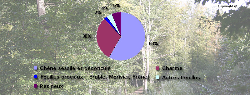 Répartition des essences en pourcentage dans la forêt  de la Flachère